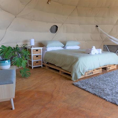 1 Waipu Off-Grid Eco Seaview Geodesic Glamping Dome Hotel Kültér fotó